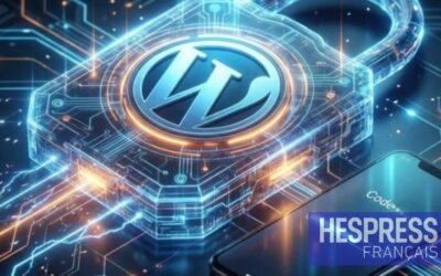 Cybersécurité : la DGSSI alerte sur plusieurs plugins WordPress
