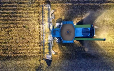 Investir dans l’agriculture bio dans la région du Souss au Maroc