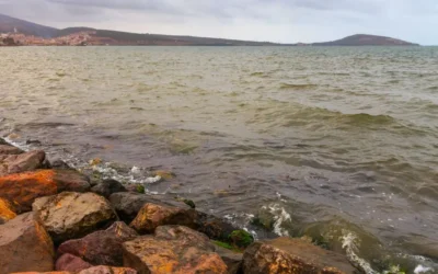 Lagune de Nador : 7 secrets d’un sanctuaire écologique à protéger