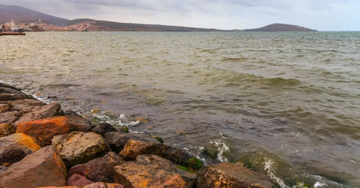 Lagune de Nador : 7 secrets d’un sanctuaire écologique à protéger