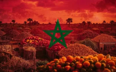 L’engagement du Maroc pour la sécurité alimentaire en Afrique