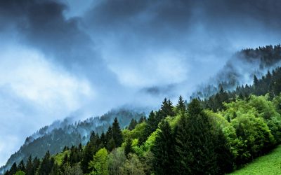Au Nigeria, la crise climatique stimule l'émergence de startups innovantes