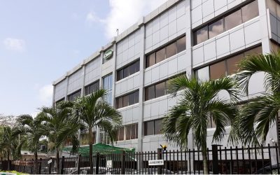Chams voit ses profits bondir de 188% grâce au triplement des revenus en cybersécurité