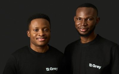 Grey Business atteint 61 millions de dollars grâce à la suprématie des stablecoins