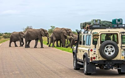 Les infrastructures manquantes freinant l'essor de l'économie touristique en Afrique