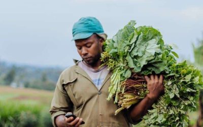 Acumen lève 90M$ pour l'agriculture résiliente en Afrique, vise le Nord