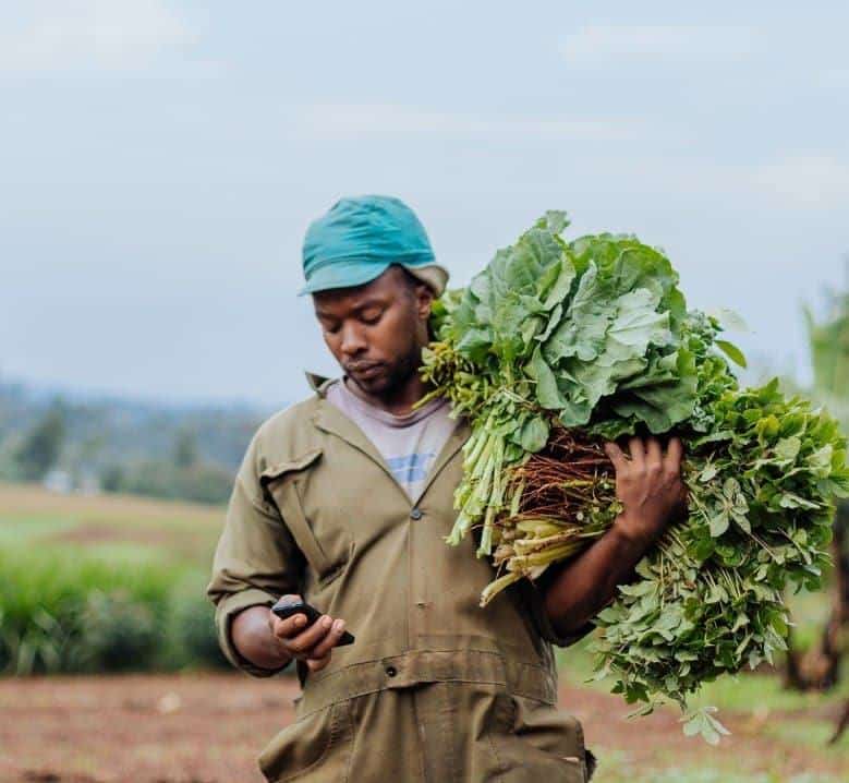 Acumen lève 90M$ pour l'agriculture résiliente en Afrique, vise le Nord