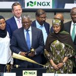 Bamboo et Cowrywise révèlent les perturbations d'applications face à la ruée pour l'IPO de Dangote