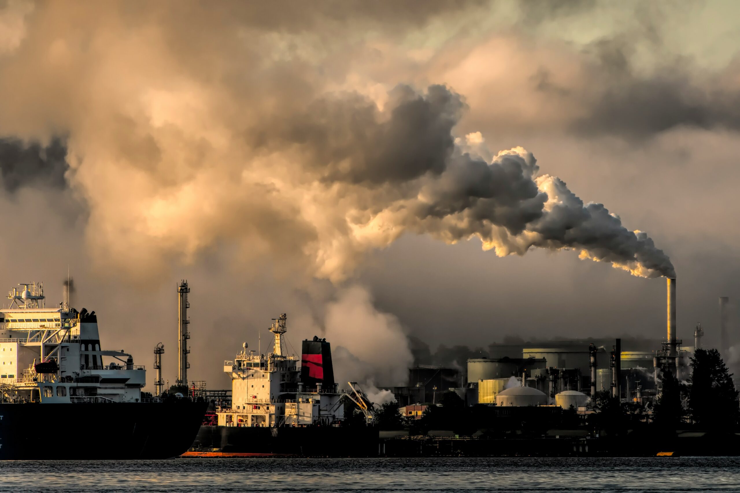 Biochar Industrial lève 1,5 million pour étendre la capture du carbone en Afrique