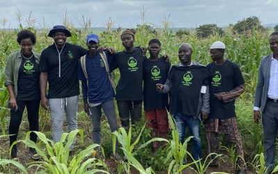 Un moteur de crédit de 6,8M$ se cache dans un champ de manioc nigérian