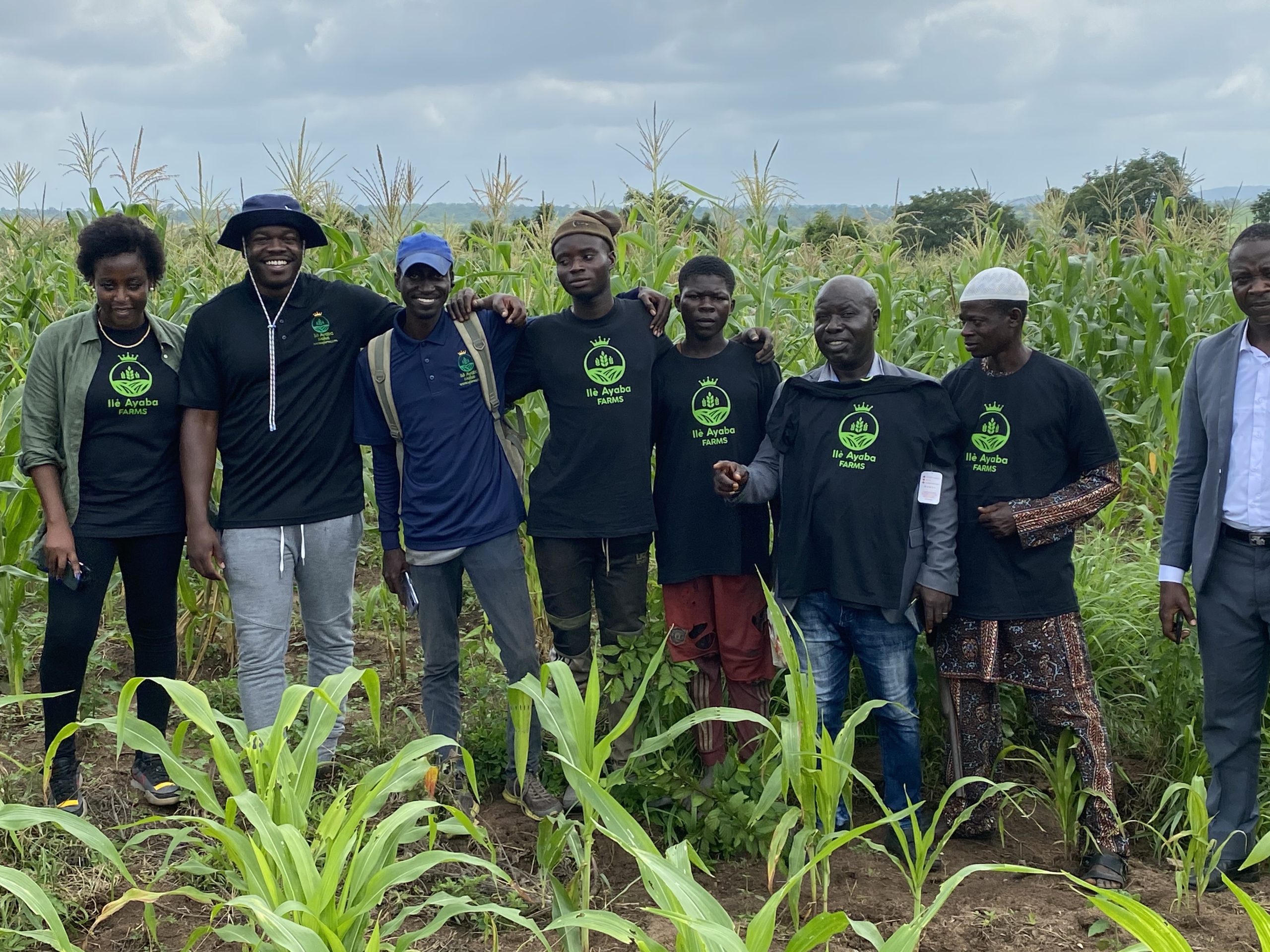 Un moteur de crédit de 6,8M$ se cache dans un champ de manioc nigérian
