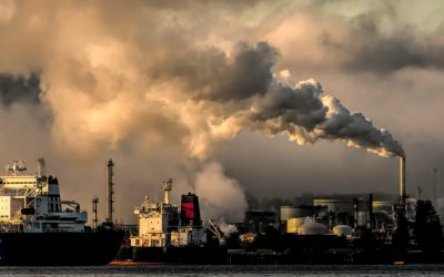 Biochar Industrial lève 1,5 million de dollars pour développer le captage de carbone en Afrique