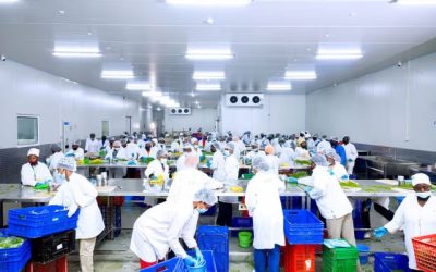 Cold Solutions Rwanda lève jusqu'à 18 millions pour étoffer la chaîne du froid à Kigali